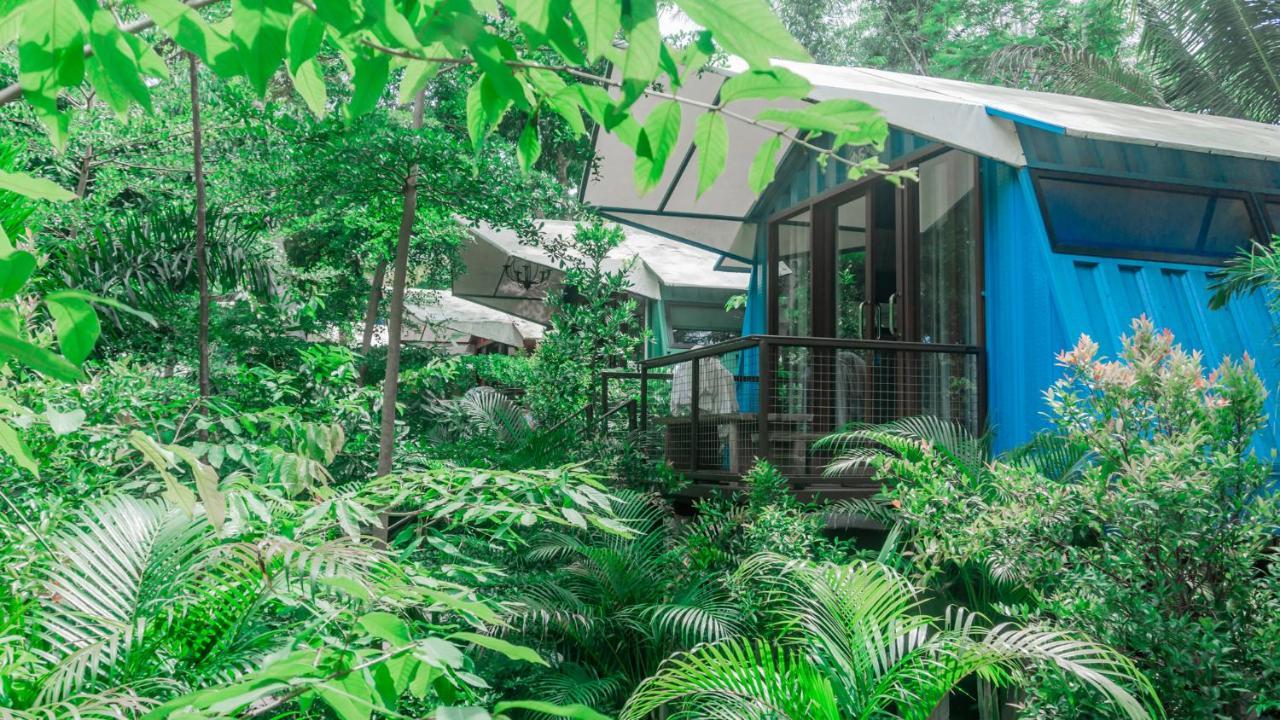 Hau Eco Lodges Citumang Pangandaran Zewnętrze zdjęcie