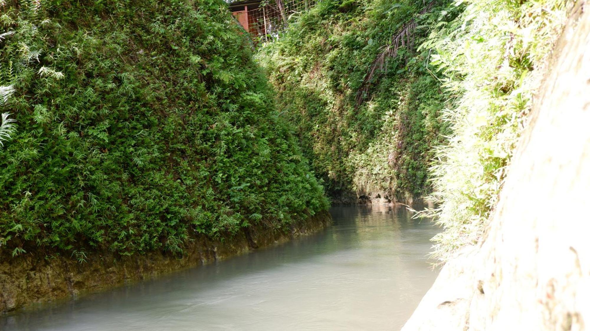 Hau Eco Lodges Citumang Pangandaran Zewnętrze zdjęcie