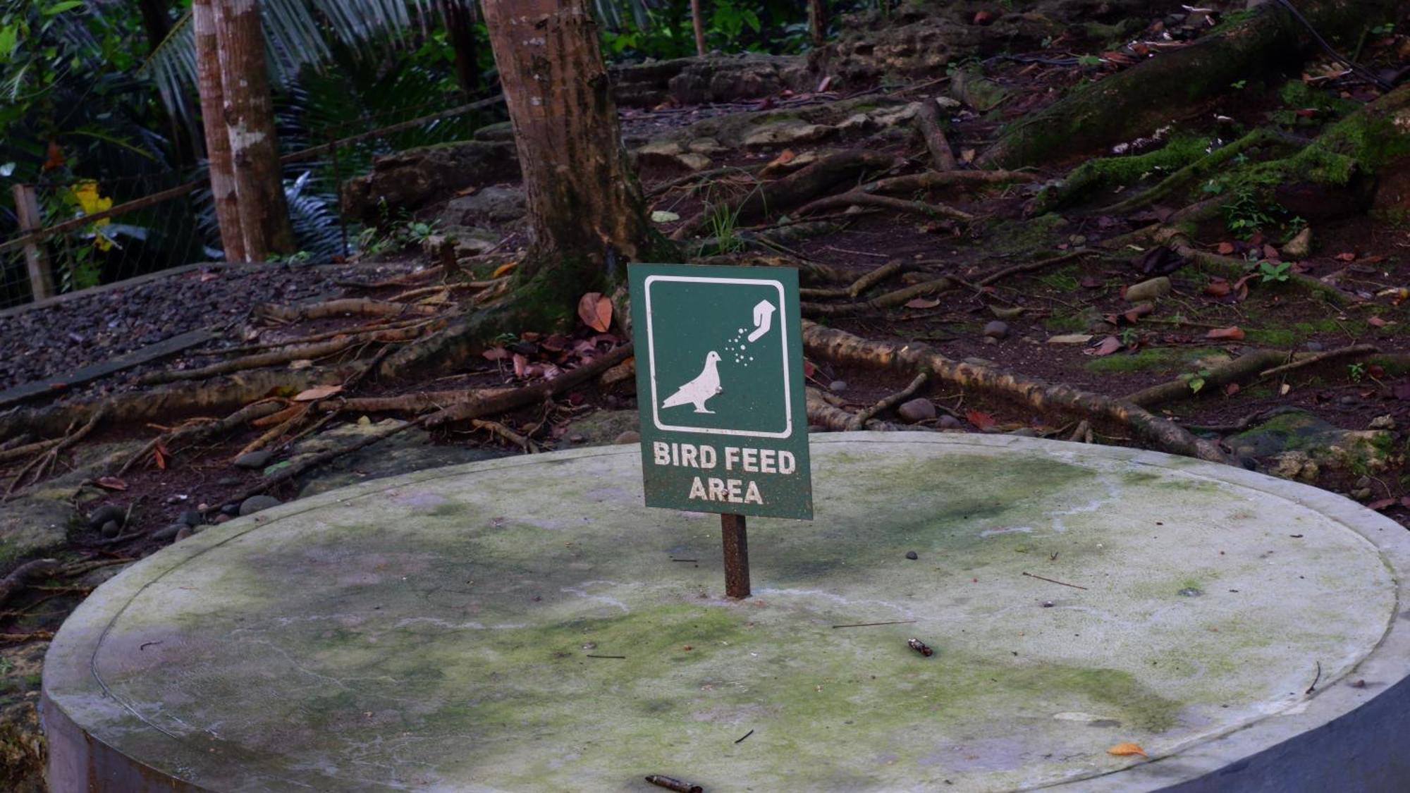 Hau Eco Lodges Citumang Pangandaran Zewnętrze zdjęcie