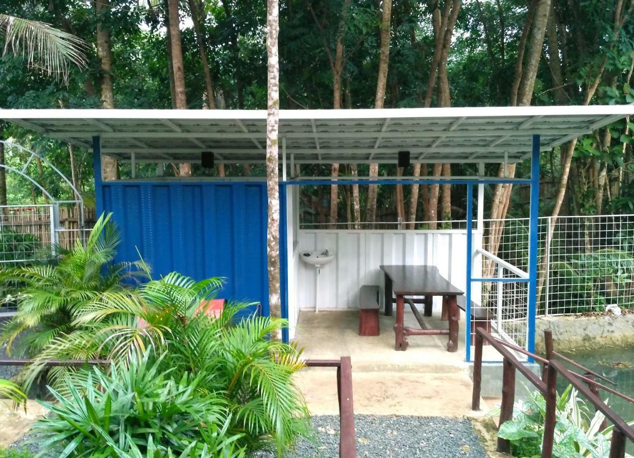 Hau Eco Lodges Citumang Pangandaran Zewnętrze zdjęcie